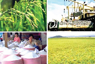 លើកកំពស់នូវដំលៃផលិតផលកសិកម្មវៀតណាម